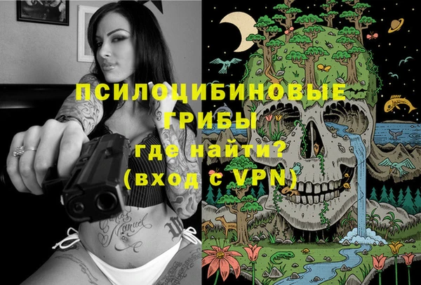 марки nbome Заводоуковск