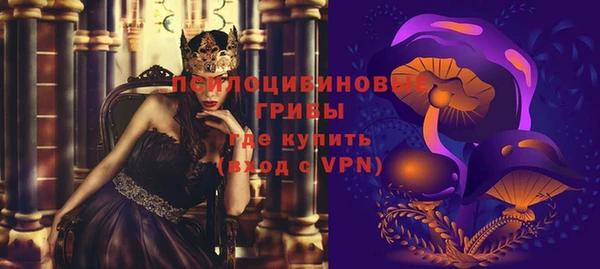 марки nbome Заводоуковск