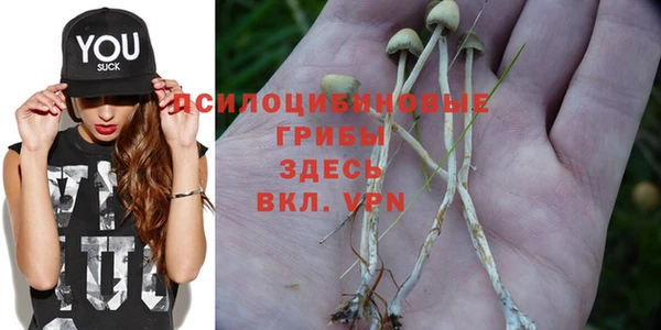 марихуана Заволжск